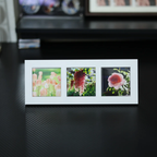 63.5*63.5mm（2.5*2.5 inches）3 Grid Photo Frame